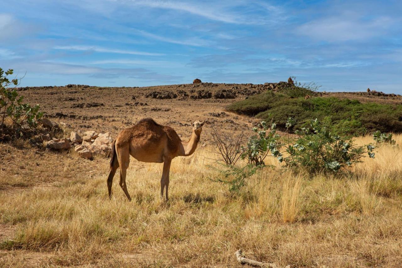 Hotel Alila Hinu Bay Salalah Mirbat Extérieur photo